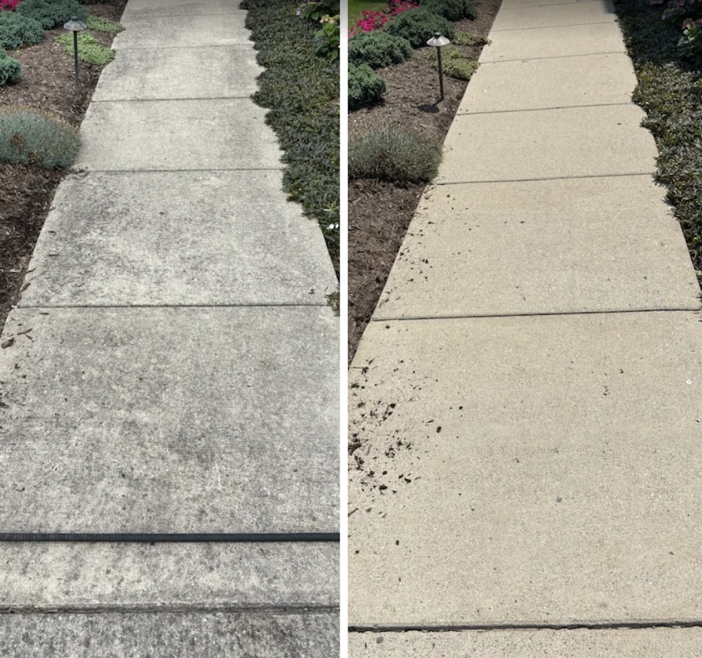 Property Paths before and after exterior cleaning project by Estate Exterior Care